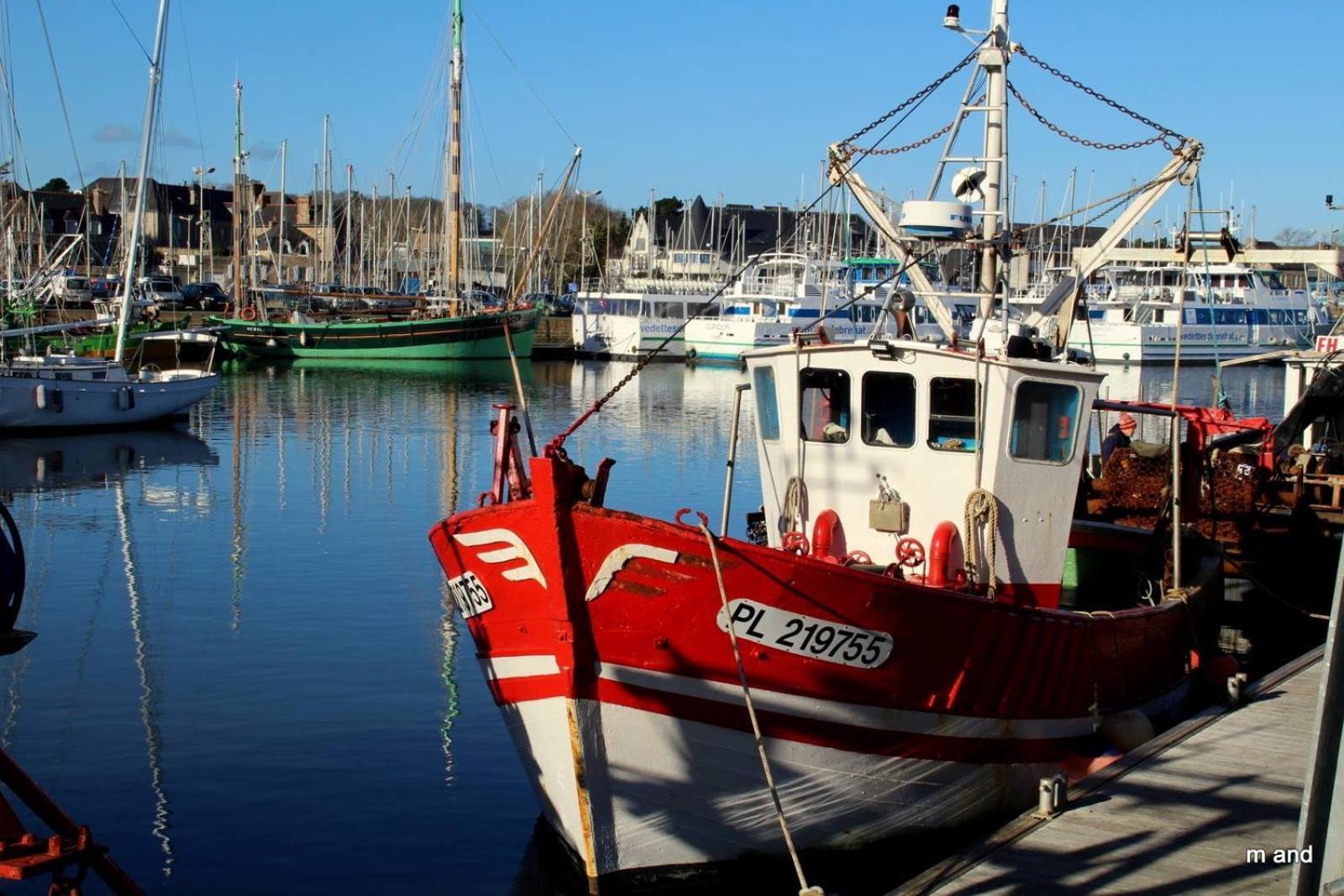 Gite Paimpol Le Loarwenn エクステリア 写真