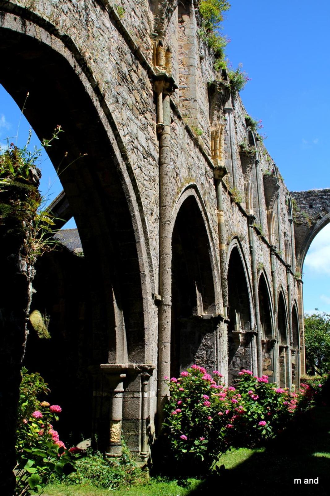 Gite Paimpol Le Loarwenn エクステリア 写真