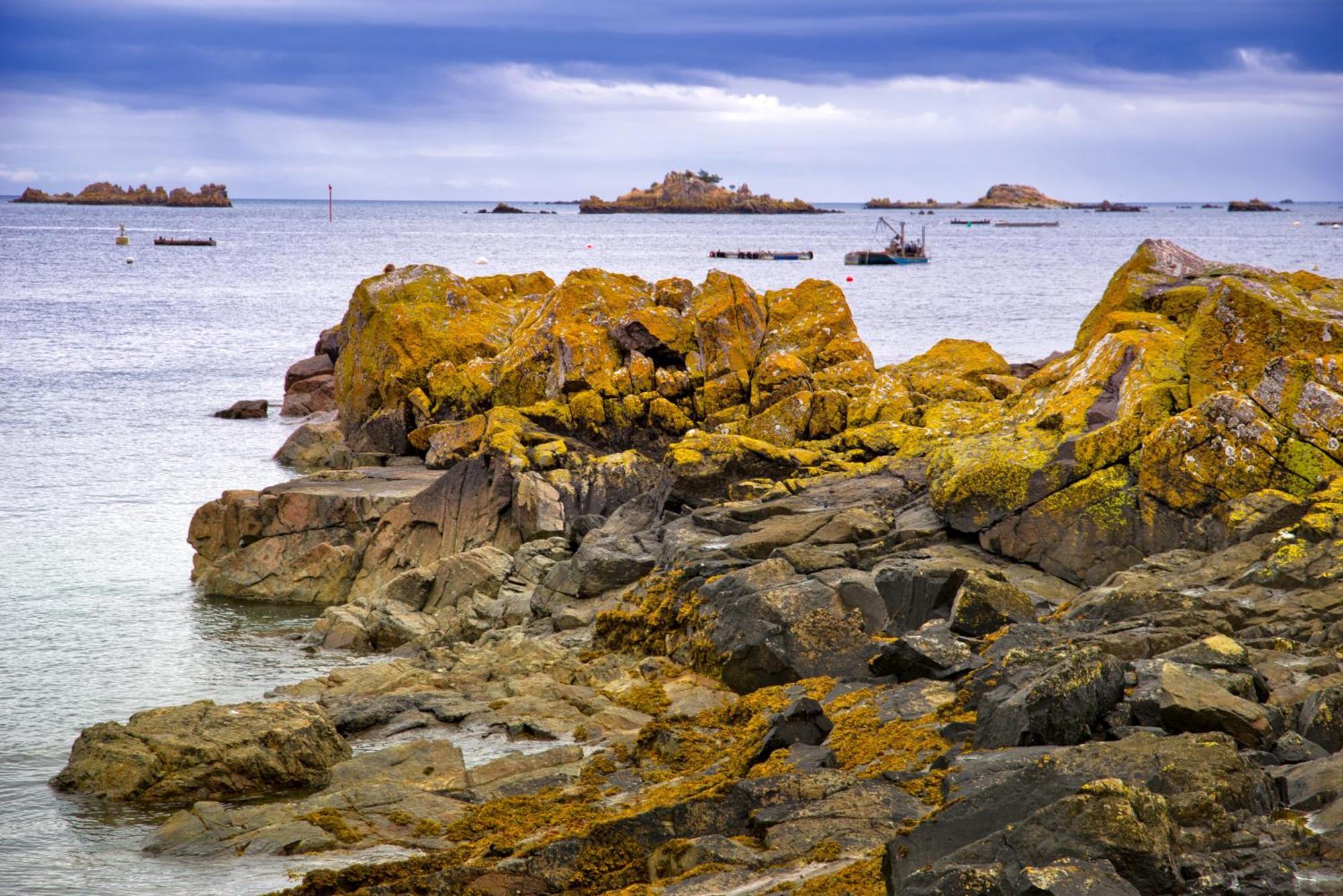 Gite Paimpol Le Loarwenn エクステリア 写真