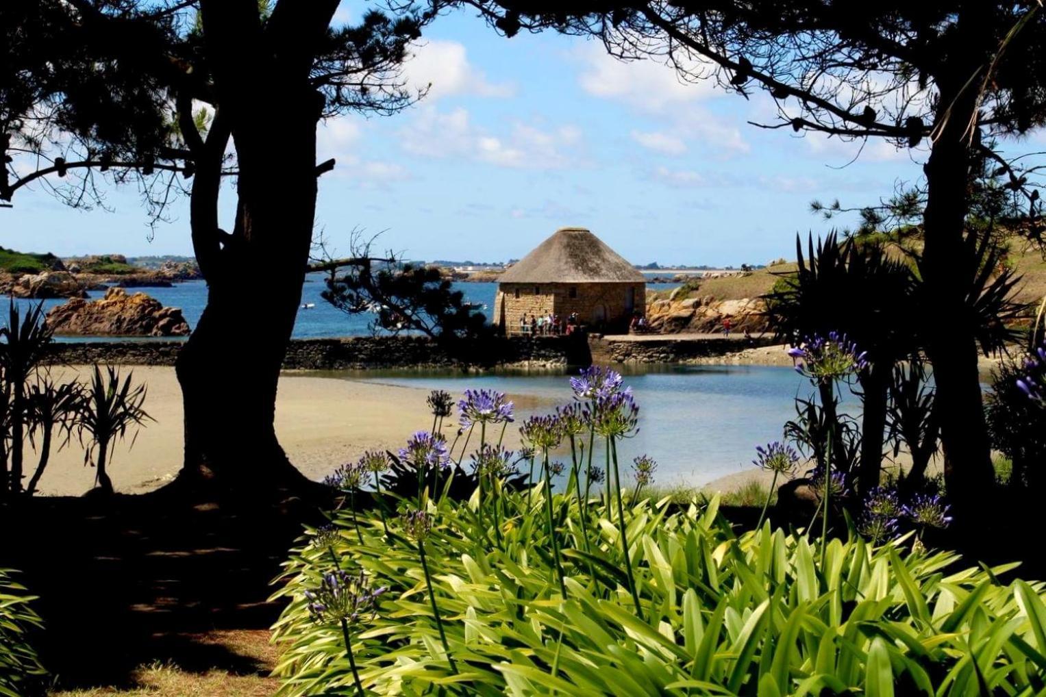 Gite Paimpol Le Loarwenn エクステリア 写真
